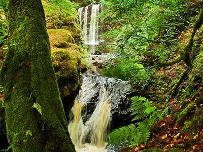 Вилла Forget Me Not - Skkz Dalmellington Экстерьер фото