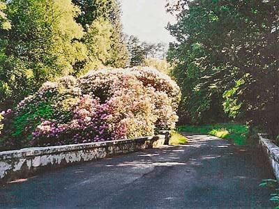 Вилла Forget Me Not - Skkz Dalmellington Экстерьер фото